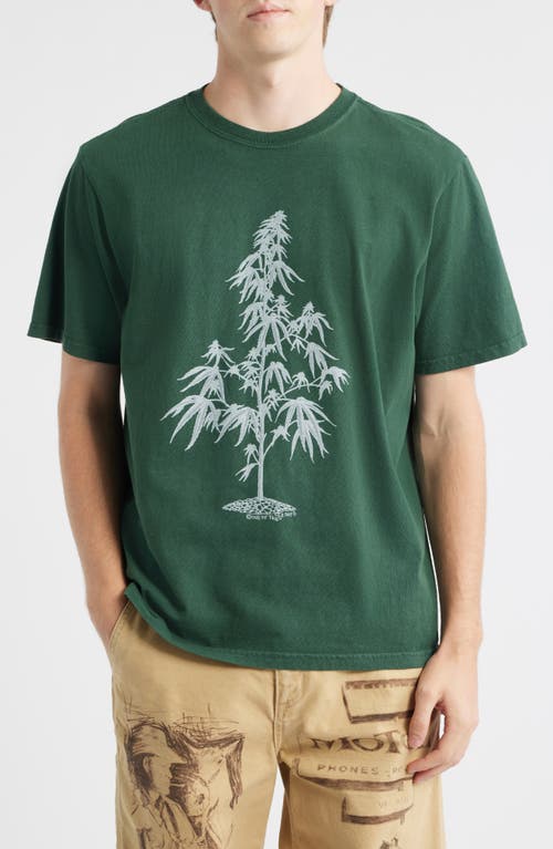 ONE OF THESE DAYS Away Go Trouble Graphic T-Shirt in Washed Forest Green  product