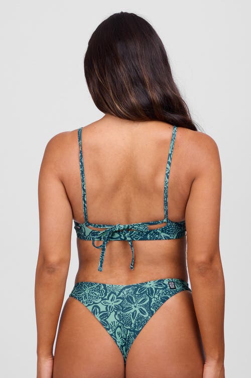 Jolyn Delphine Bikini Top