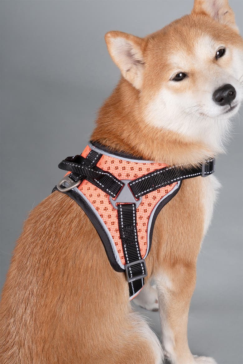 Dog Helios 'Scorpion' Sporty High-Performance Free-Range Dog Harness - Small, Alternate, color, ORANGE