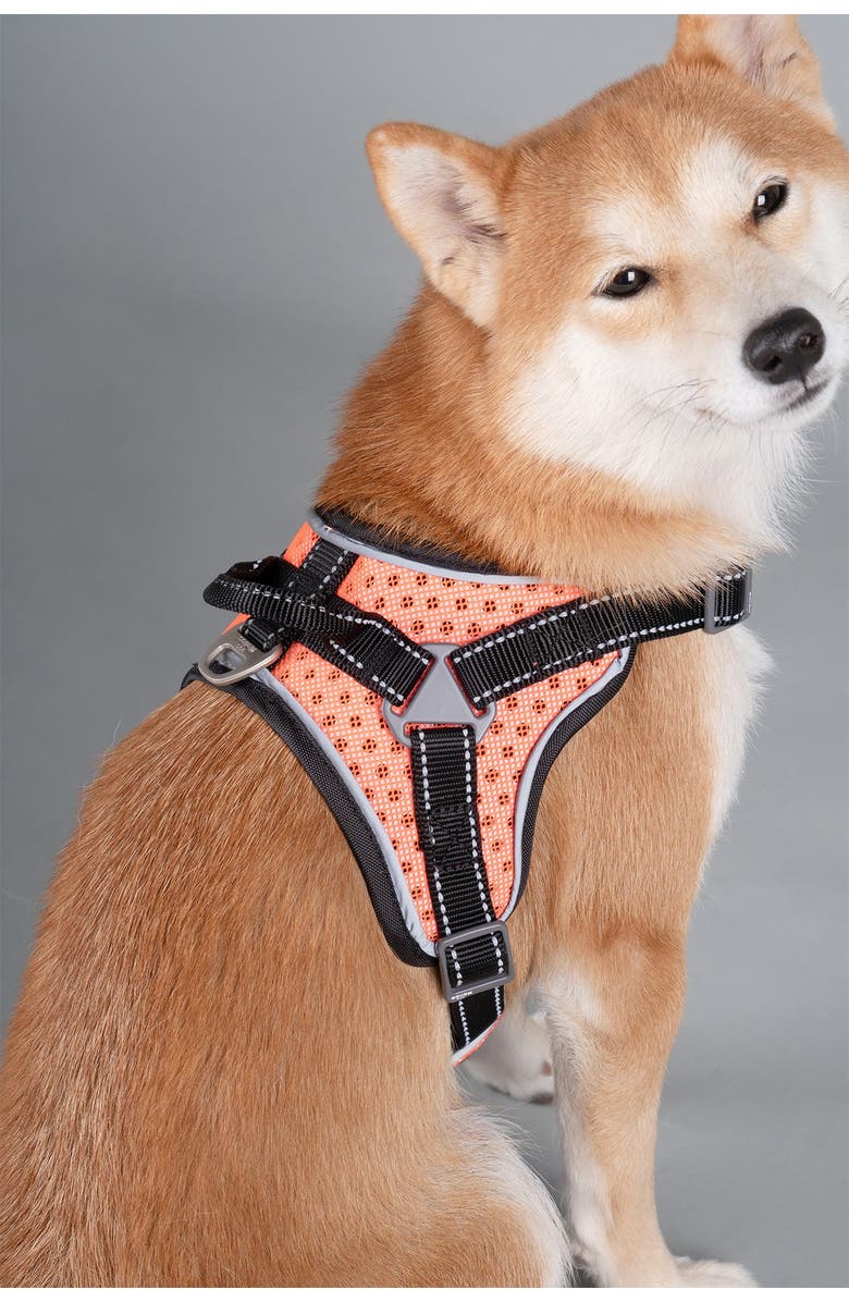 PET LIFE Dog Helios 'Scorpion' Sporty High-Performance Free-Range Dog Harness - Small, Alternate, color, Orange