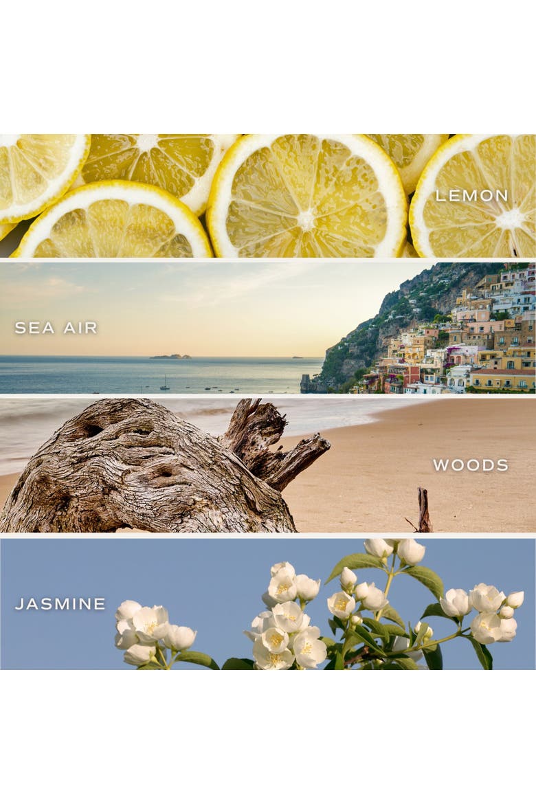 Coastal Lemon Reed Diffuser, Alternate, color, Coastal Lemon