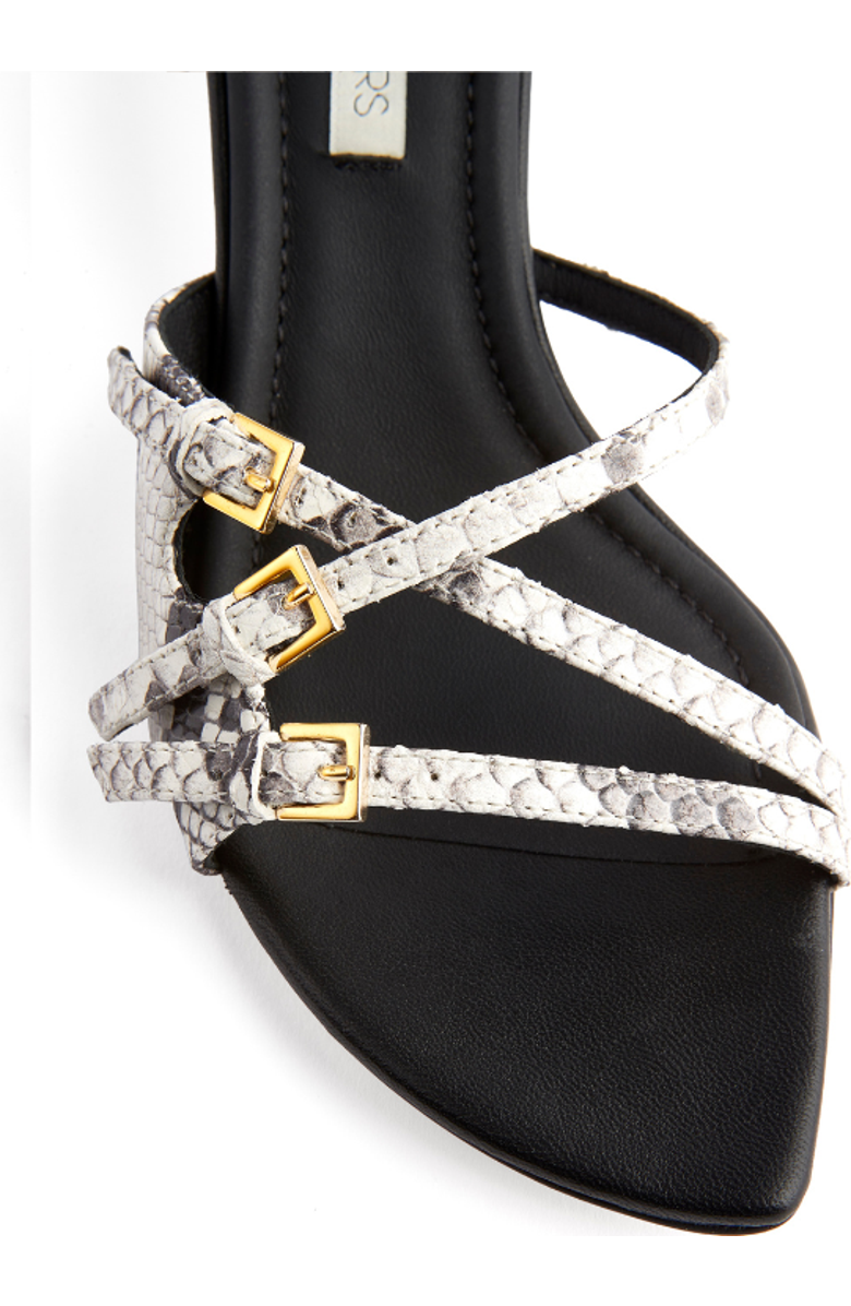 Neil J. Rodgers Lena Mule, Alternate, color,