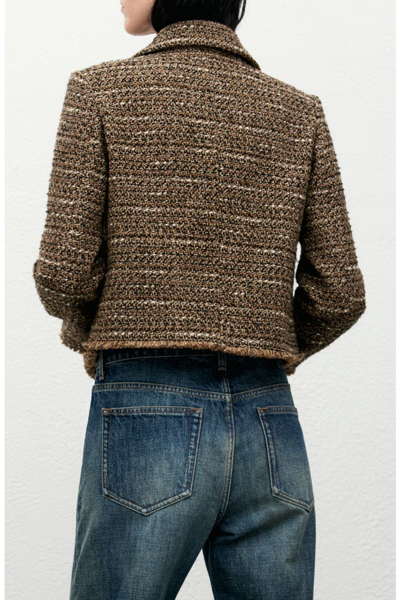 Fringe Tweed Jacket with Faux Fur, Alternate, color, BROWN