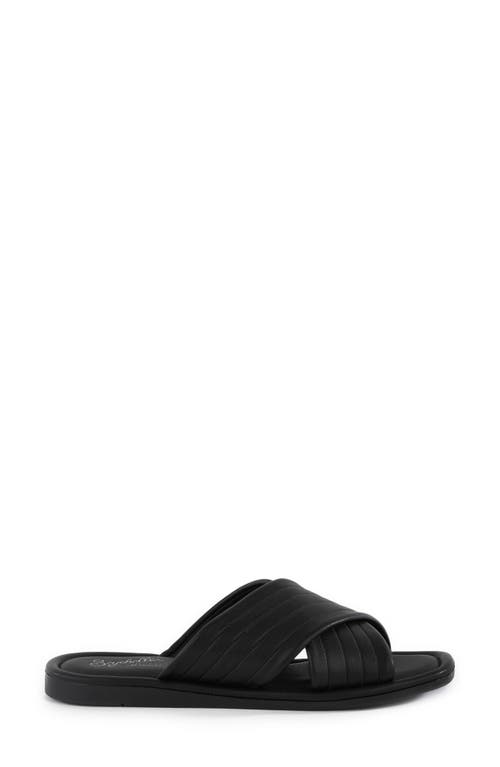 Seychelles World View Ii Slide Sandal In Black