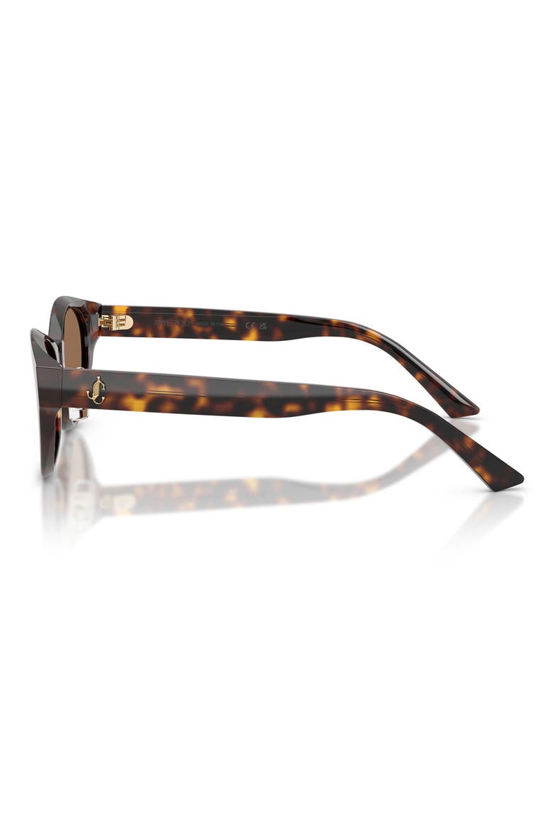 55mm Oval Sunglasses, Alternate, color, HAVANA / DARK BROWN