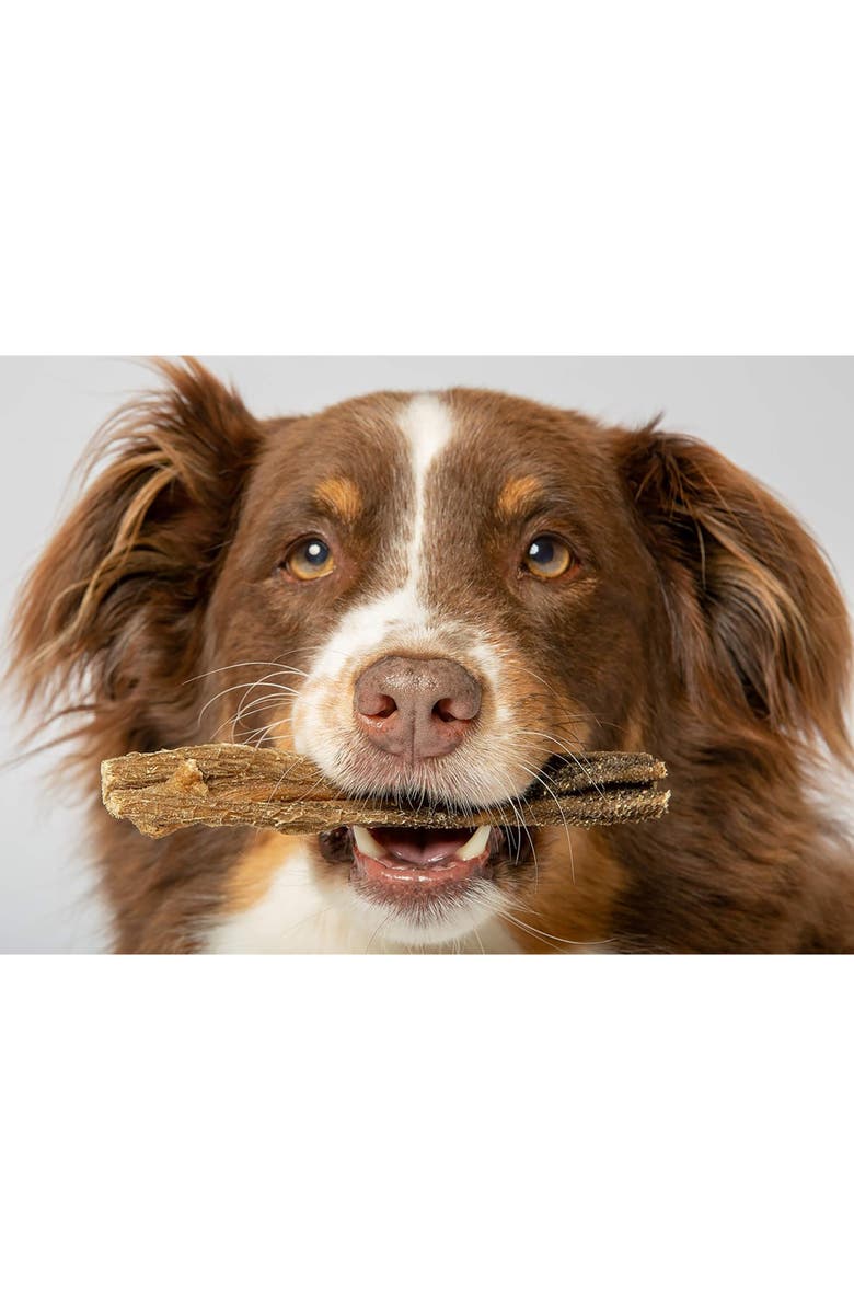 Scout & Zoe's Lamb Green Tripe, 3oz Dog Treats, Dehydrated Single Ingredient, Alternate, color,