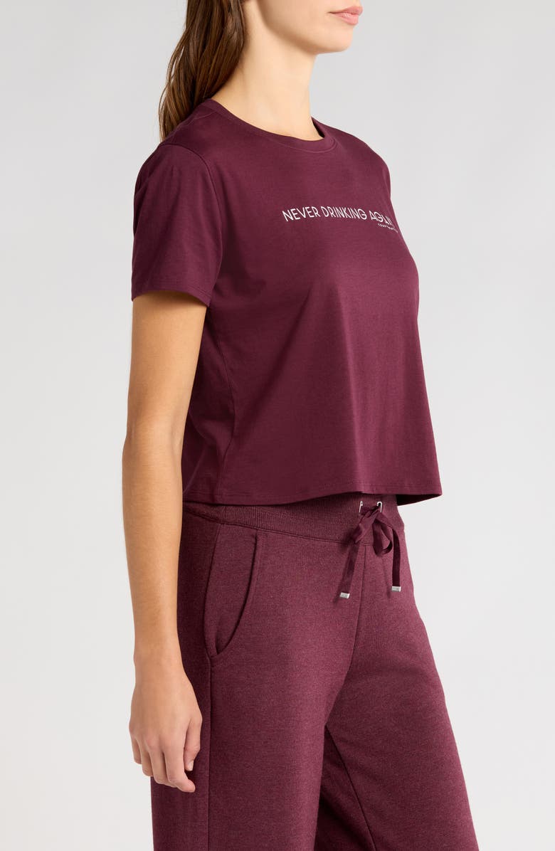 TravisMathew Great Idea Graphic T-Shirt, Alternate, color, 