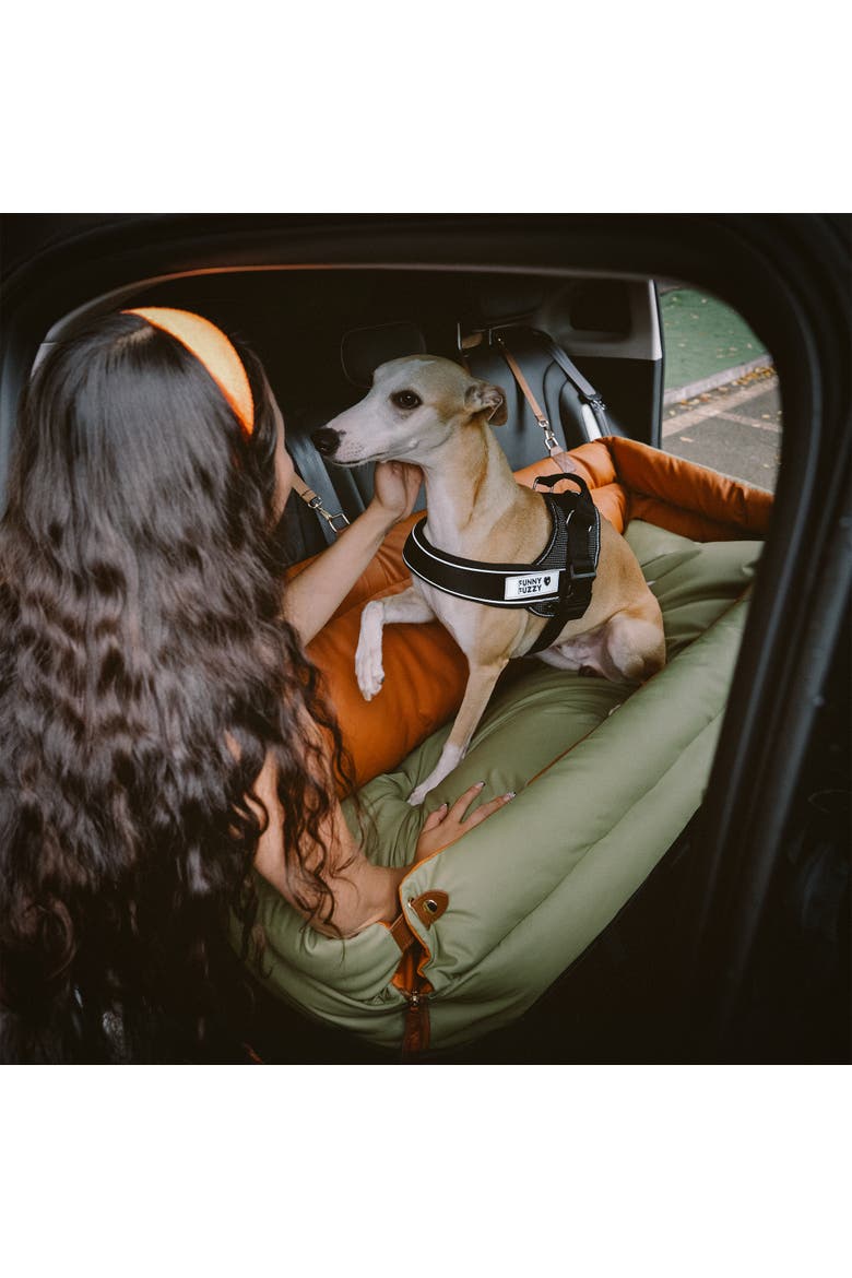 Voyager Dog Car Booster Bed, Alternate, color, Orange Green