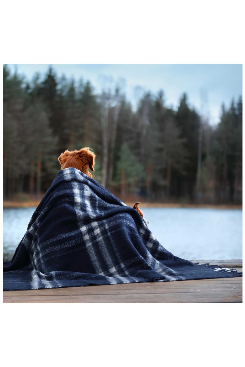 Ryan Cove Plaid Microfiber Throw Blanket, Alternate, color, DARK BLUE