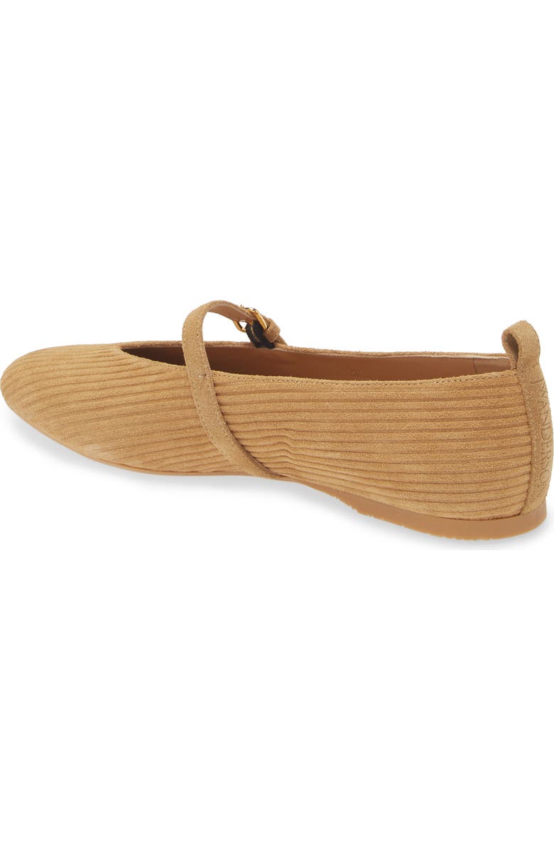 JW Anderson Suede Mary Jane Flat, Alternate, color,