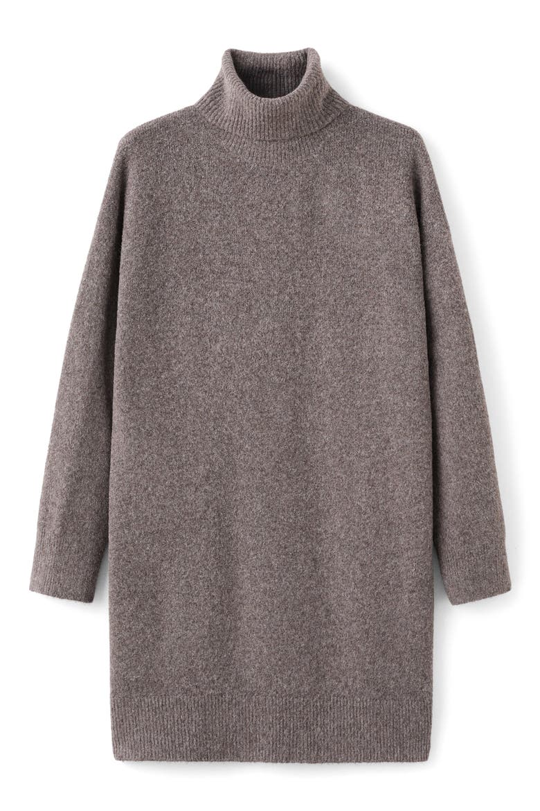 Turtleneck Long Sleeve Dress, Alternate, color, MEDIUM BROWN