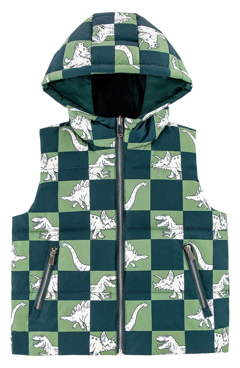 CALONIE Kids' Dylan Reversible Down Hooded Puffer Vest, Main, color, Olive