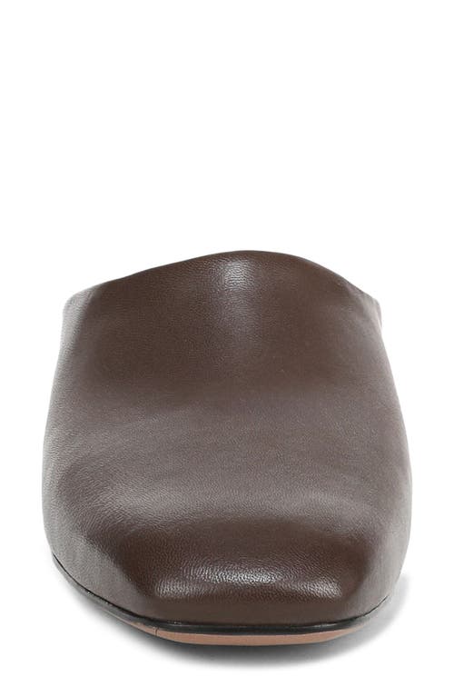 Franco Sarto Daley Mule In Brown