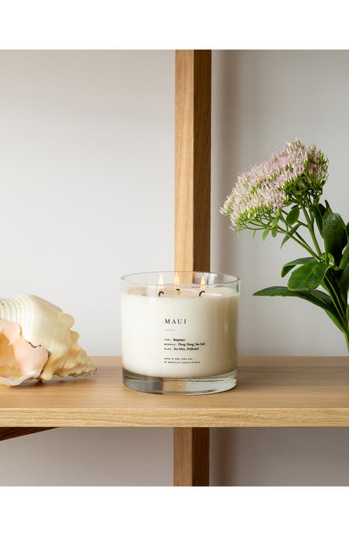 Brooklyn Candle Studio Maui Xl 3-wick Candle In Blue