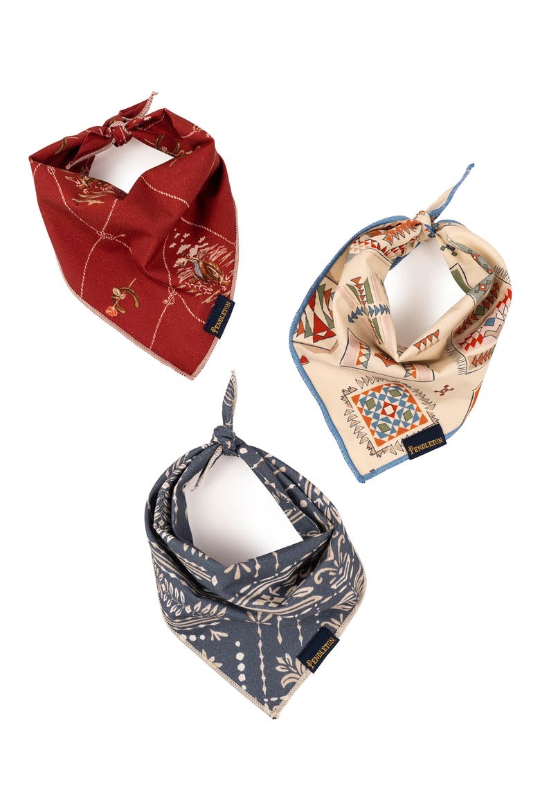 Set of 3 Pet Bandanas, Main, color, VINTAGE WEST