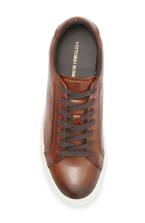 Vittorio Russo Newton Sneaker In Tan