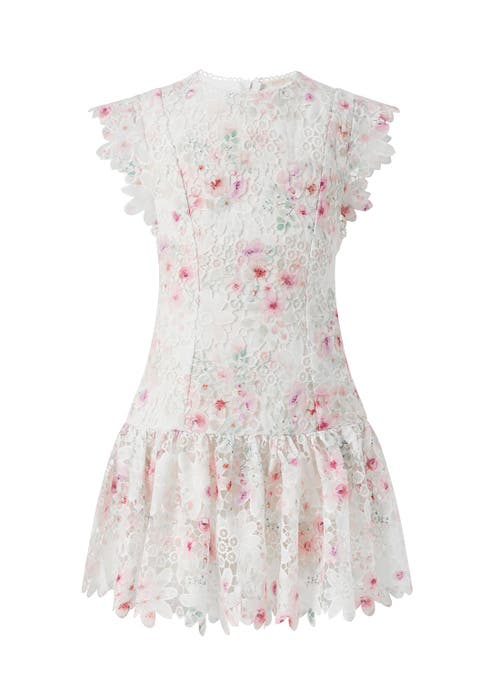 Belle Embroidered Mini Dress (Toddler, Little Kid & Big Kid)