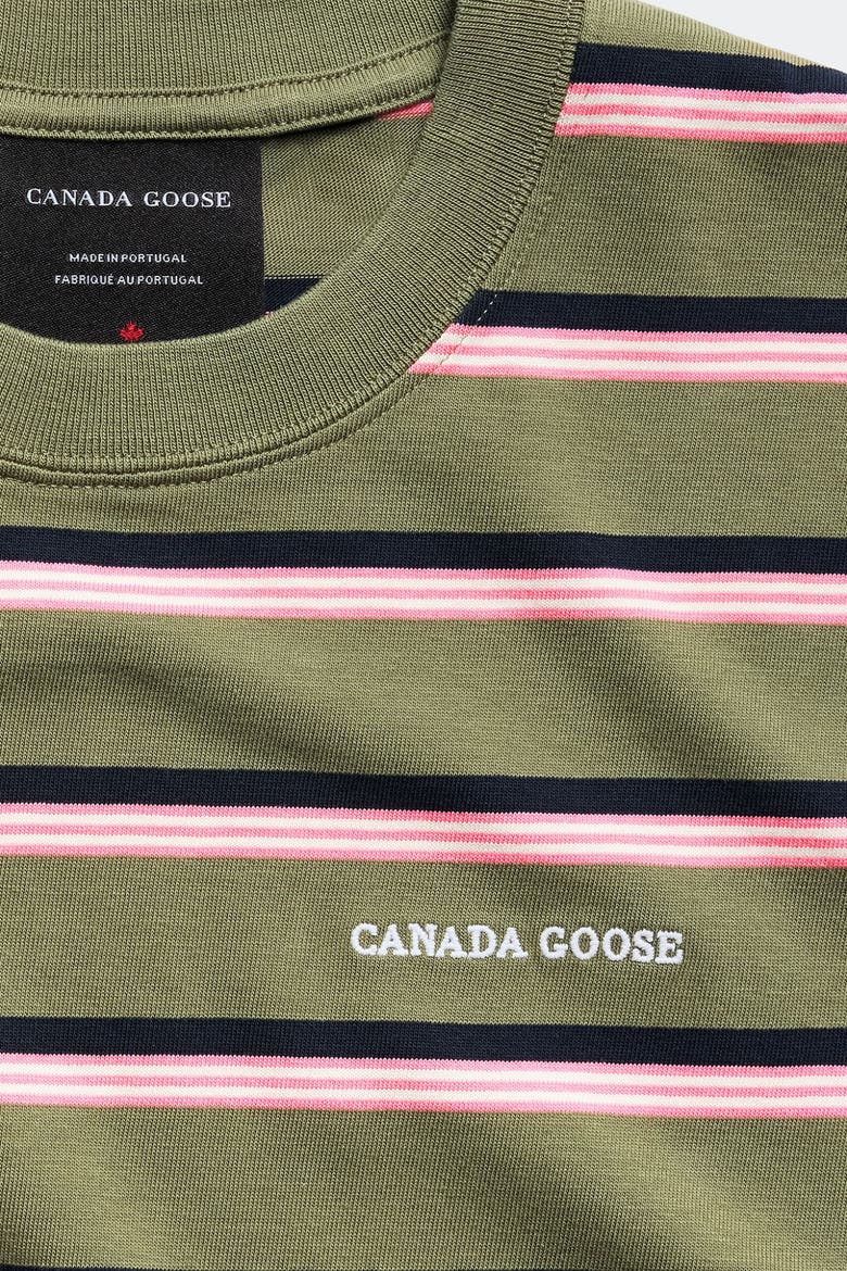 Roam Striped T-Shirt, Alternate, color, Vireo Green Stripe