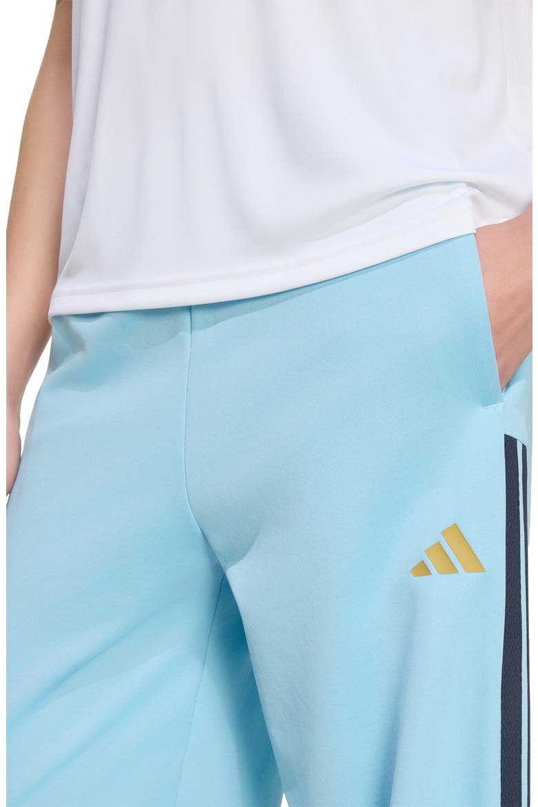 House of Tiro Wide Leg Track Pants, Alternate, color, ICEY BLUE/ BEIGE/ NAVY