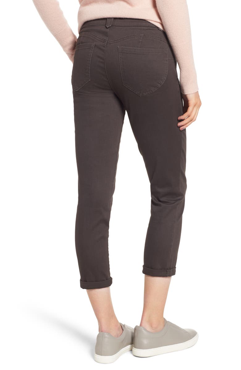 Wit & Wisdom Ab-Solution Crop Skinny Pants, Alternate, color, 