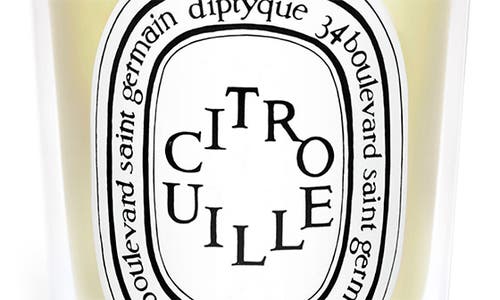 Diptyque Citrouille (pumpkin) Classic Candle In Transparent