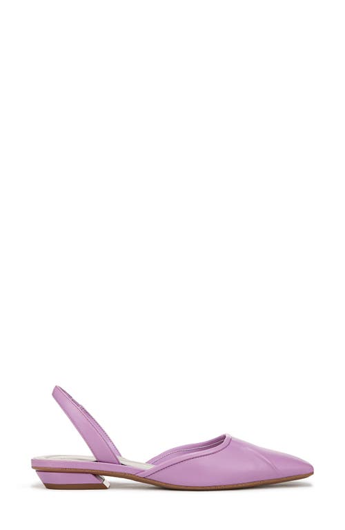 Shop Sarto By Franco Sarto Debbie Slingback Pump In Purple