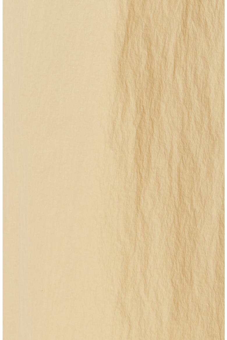 Sologne Nylon Hooded Coat, Alternate, color, BEIGE
