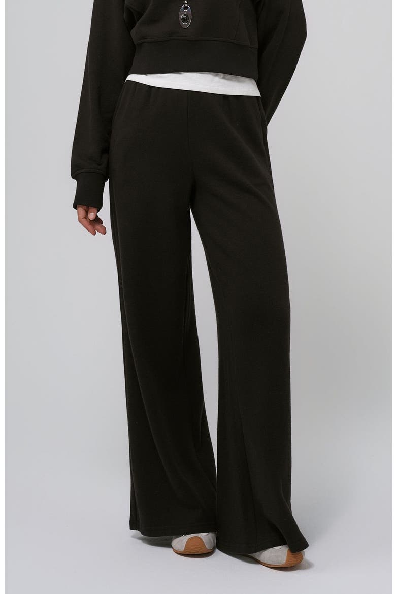 Hemp Essentials Fleece Sweatpants, Alternate, color, black