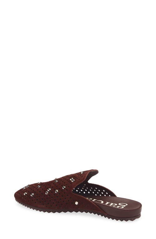 Pedro Garcia Braidy Studded Mule In Brown