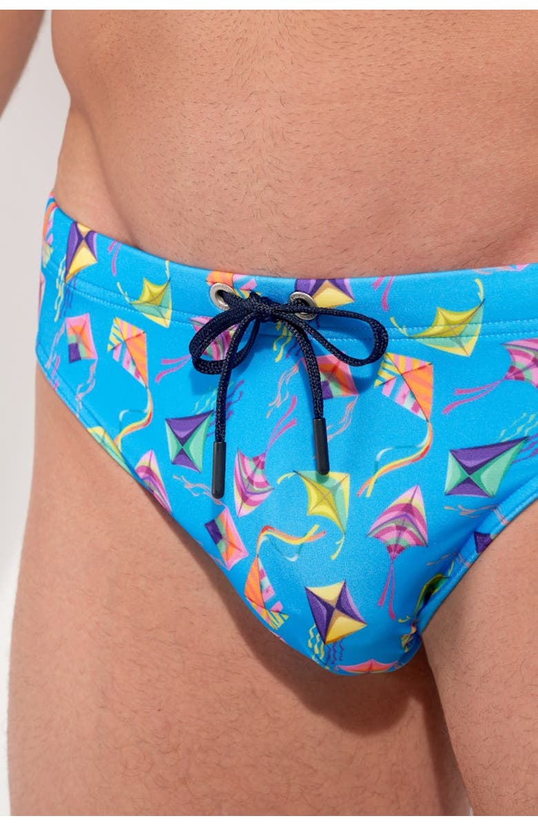 HOM Lido Swim Mini Briefs, Alternate, color, Blue Print