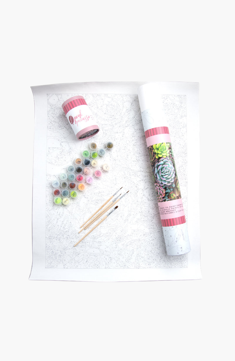 Pink Picasso Kits Sensitive Succulents Paint by Numbers Kit, Alternate, color, Greens / Pinks