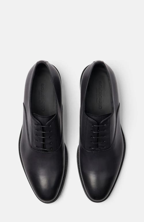 Scarosso Marco Oxfords