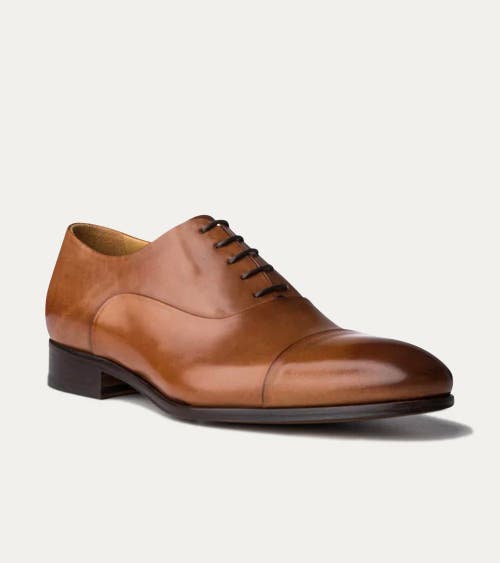 Ace Marks Griffin Cap Toe Oxford In Brown