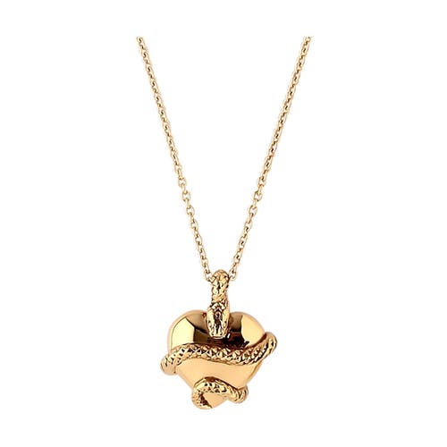 Astor & Orion Women's Wise Heart Gold Charm Necklace In Gold