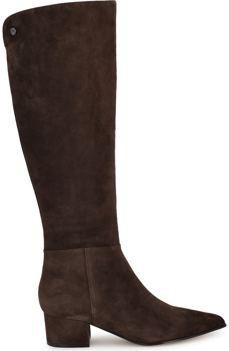 Nine West Morgin Pointed Toe Knee High Boot, Alternate, color, Dark Suede