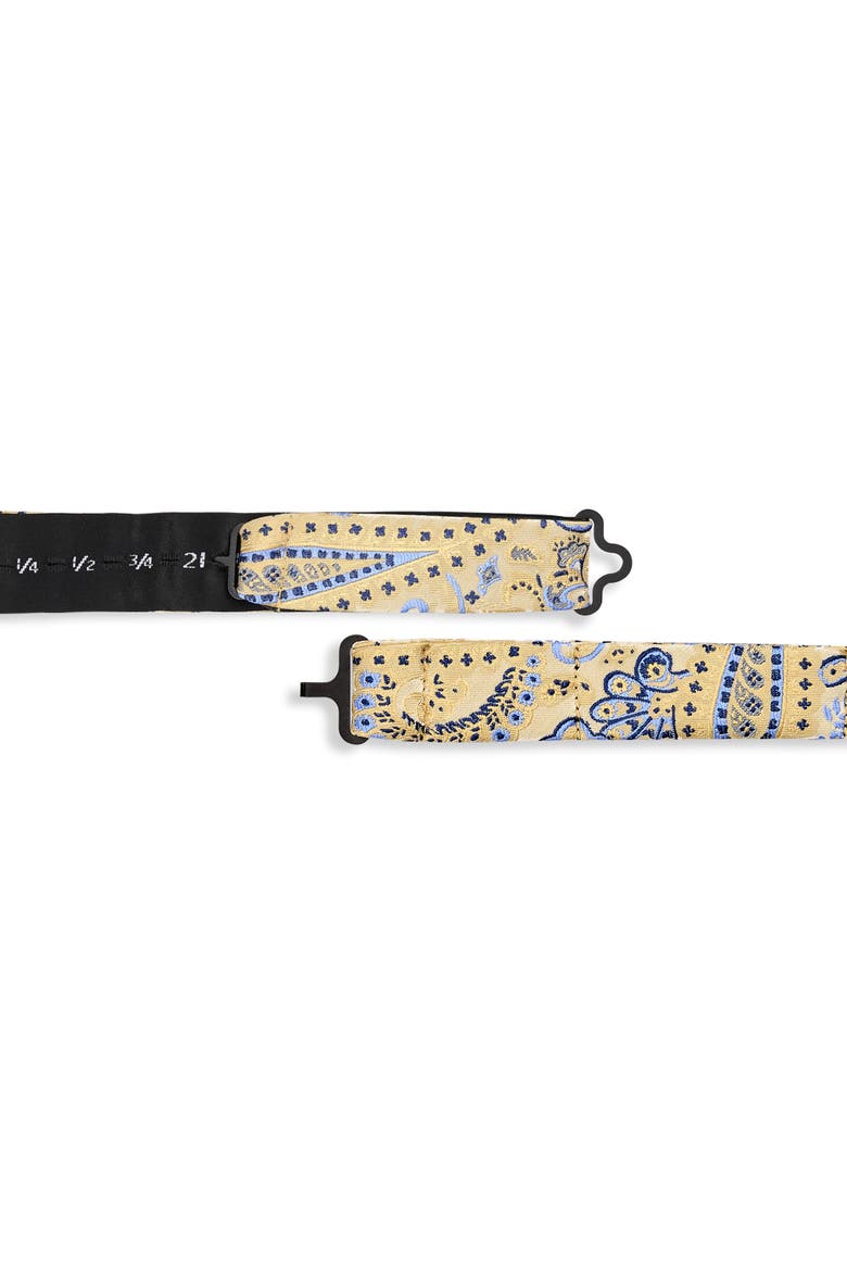 Big & Tall Springtime Paisley Bow Tie, Alternate, color, YELLOW