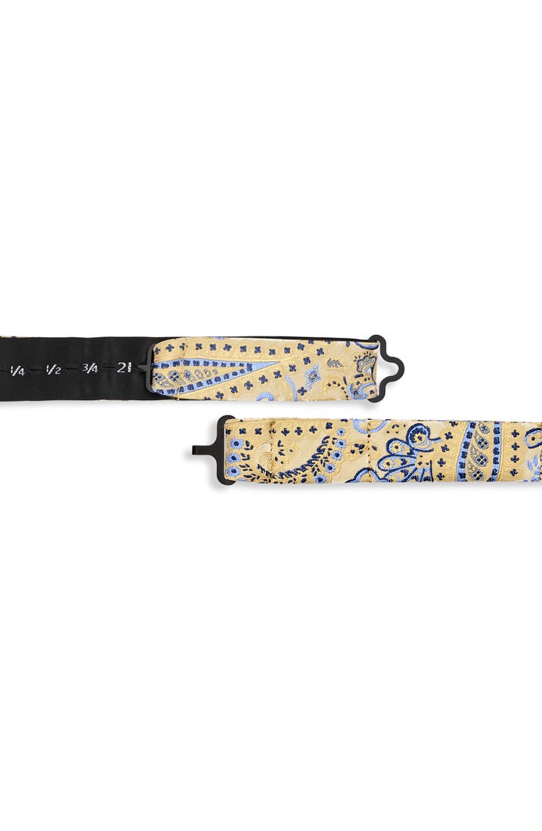 Synrgy by DXL Big & Tall Springtime Paisley Bow Tie, Alternate, color, Yellow