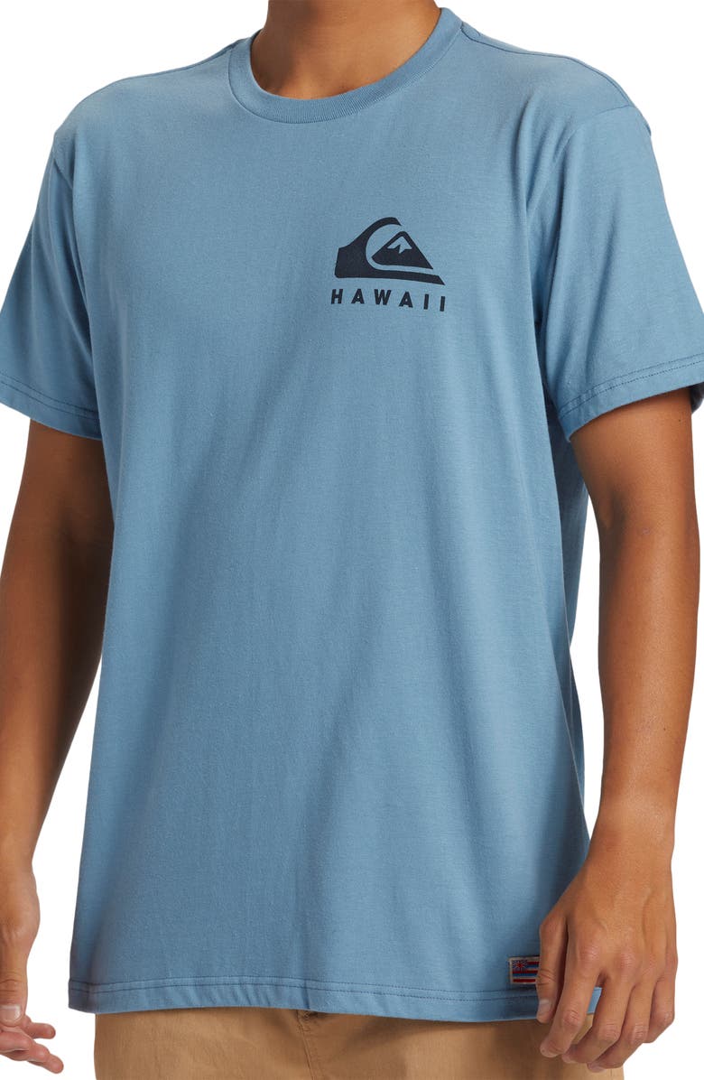 Quiksilver Hawaii Collection Noggin Graphic T-Shirt, Alternate, color, 