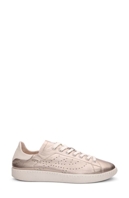 Ash Super Low Top Sneaker In Champagne