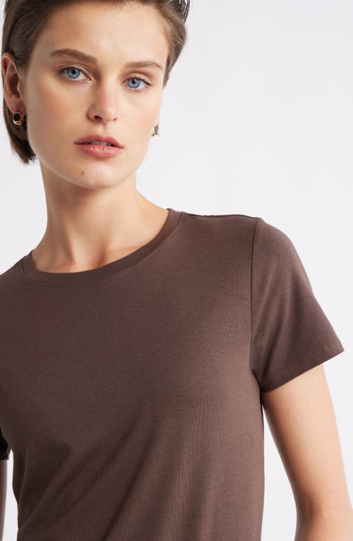 Nordstrom Pima Cotton Blend Crewneck T-shirt In Brown