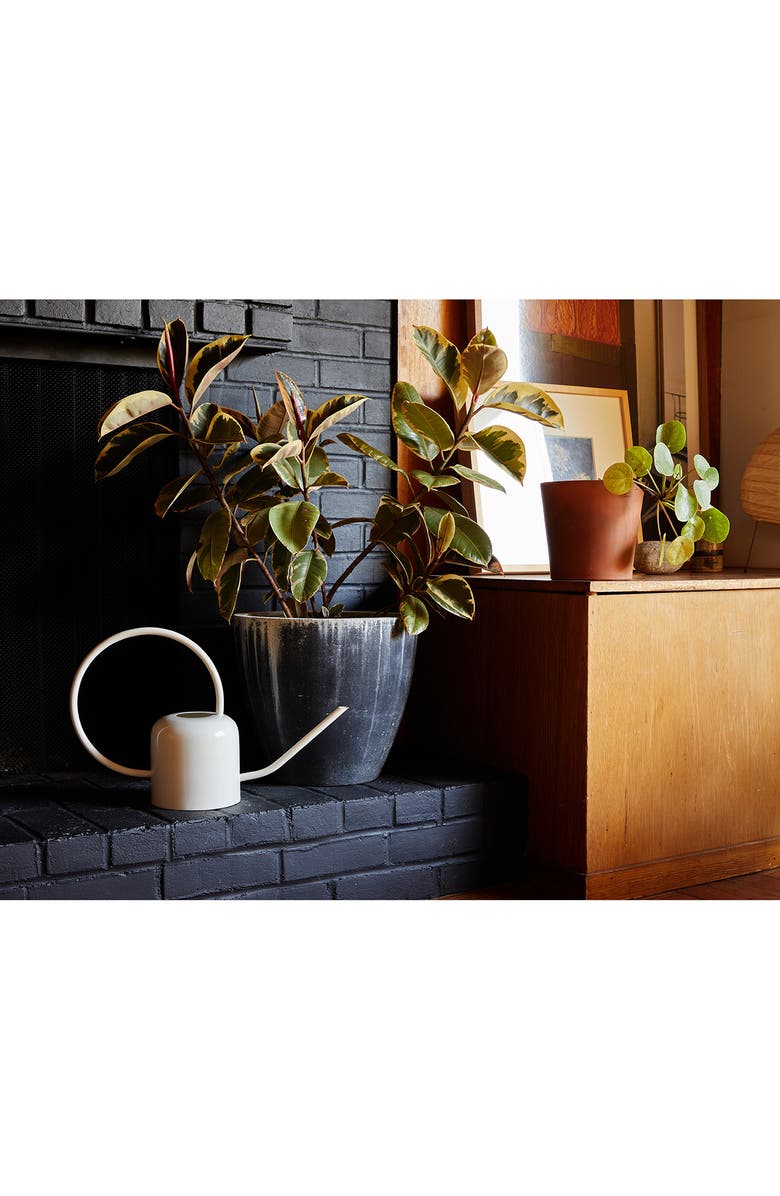 The Floral Society Watering Can, Alternate, color, 