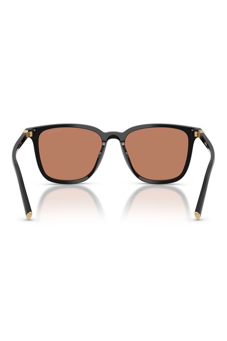 53mm Square Sunglasses, Alternate, color, BLACK / BROWN