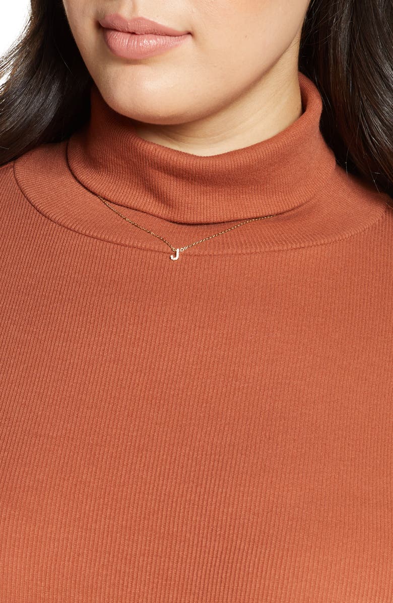 BP. Turtleneck Ribbed Top, Alternate, color, Rust Sequoia