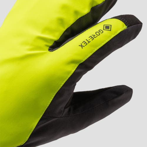 Gorewear Endure Gore-tex Insulated Trigger Glove In Brown