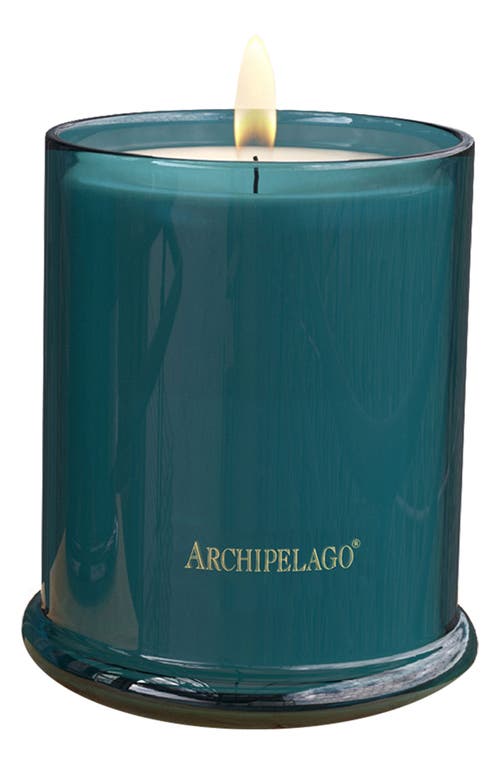 Archipelago Botanicals Maison De Noël Jar Candle in Green 