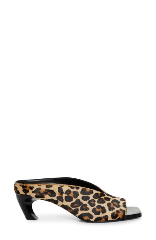 Alexander Mcqueen Mcqueen Genuine Calf Hair Open Toe Mule In Leopard Print Calf Hair/black