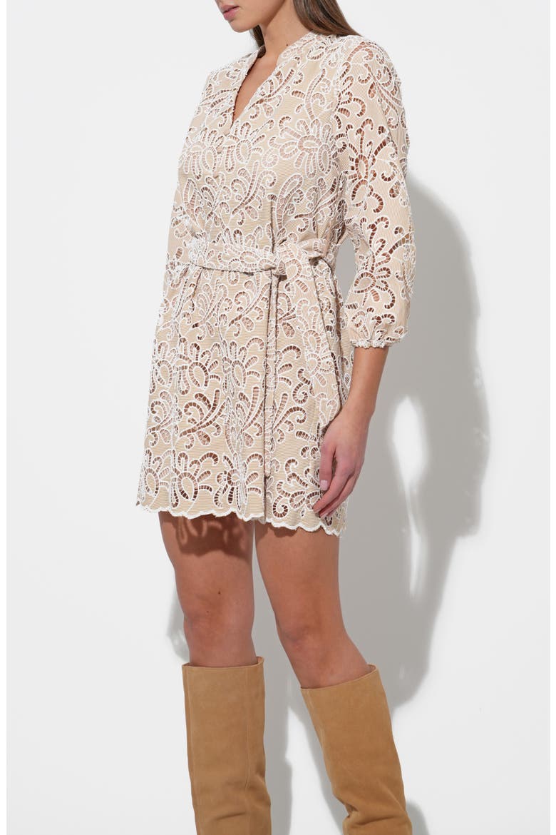 Lina Embroidered Minidress, Alternate, color, NATURAL