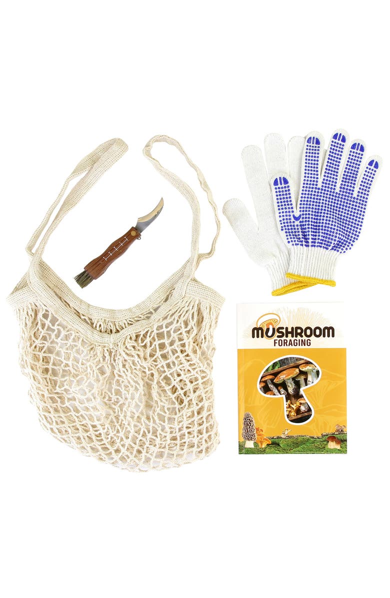 Gift Box Mushroom Foraging Kit Become A Fungi Connoisseur, Alternate, color, Multicolored