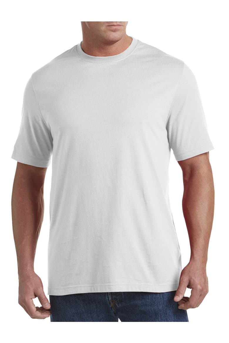 Big & Tall Moisture-Wicking Jersey T-Shirt, Alternate, color, WHITE