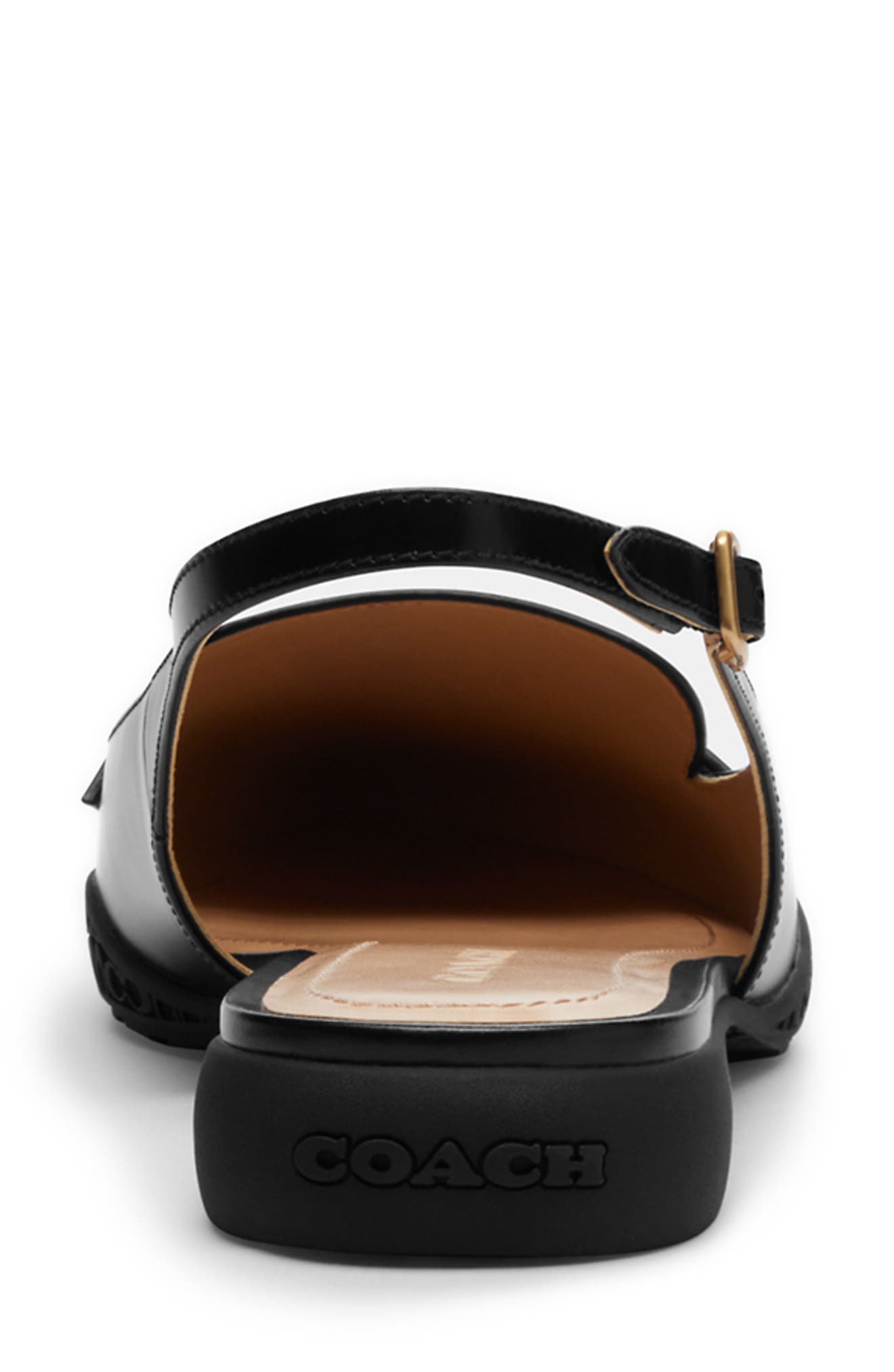 COACH Carrie Pointed Toe Slingback Flat, Alternate, color, 